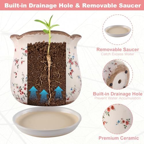 Ceramic-Planters-for-Indoor-Plants with Saucer, 6 inch Vintage Ice Crackle Glaze Plant Pots with Drainage Holes, Decorative Flower Pots for Outdoor Garden Home Decor, Tuscan Pot for Plant - Image 5