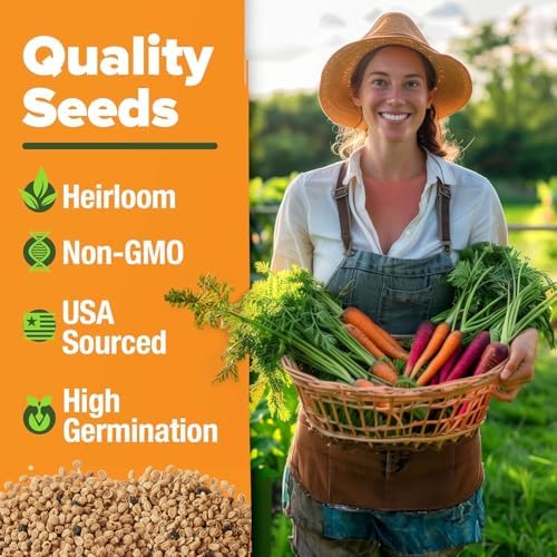 HOME GROWN 10 Rainbow Carrot Variety Mix 3350+ Seeds Daucus carota - Image 2