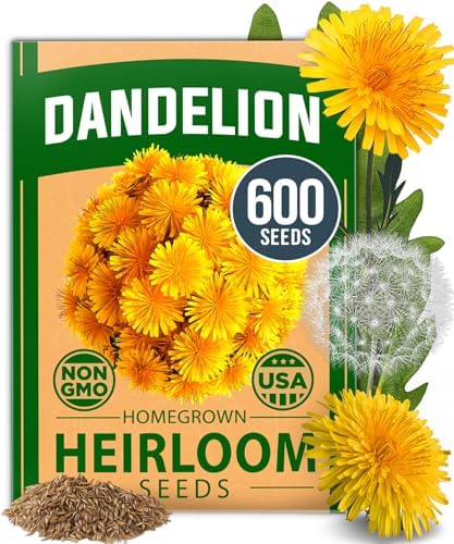 HOME GROWN Dandelion Seeds, 600 Seeds, 0.3 g, Taraxacum officinale by HOMEGROWN