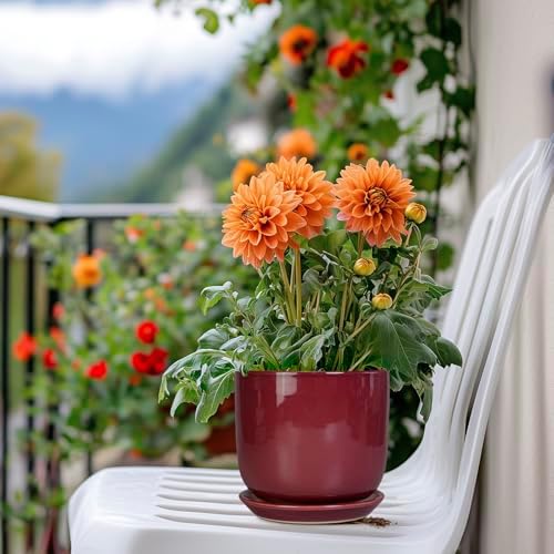 Ceramic Plant Pot - 5 Inch Modern Round Planter for Indoor Plants with Drainage Hole and Saucer, Patio Office House Room Bathroom Decor, Red - Image 7