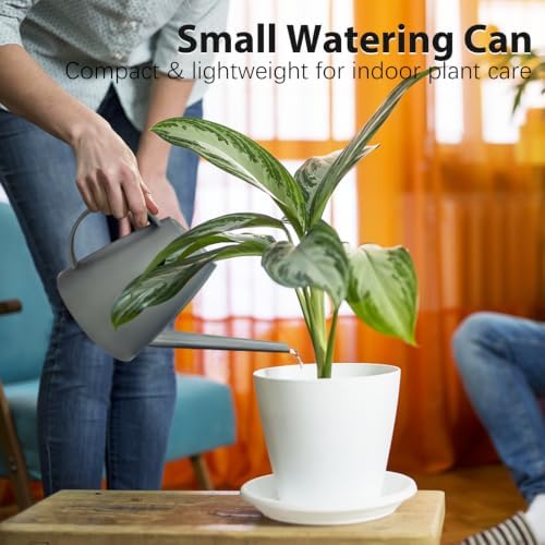 60 oz Watering Can, Small Watering Can for Indoor Plants with Long Spout - Image 3