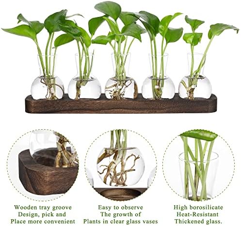 YIBOT Propagation Vases for Plants Terrarium with Wooden Tray,5 Glass Vases - Image 3