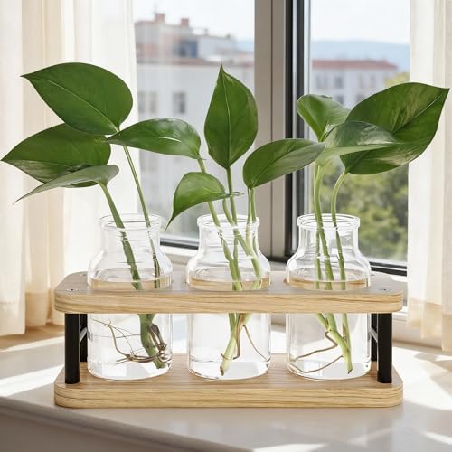 THYGIFTREE Plant Propagation Station with Wooden Stand, Propagation Vases Glass Planters for Indoor Plants Hydroponic Propagating Jars Home Office Decor, Plant Lover Gifts - Image 3