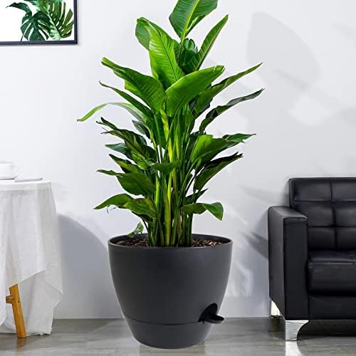 UOUZ 12 inch Large Self Watering Pots, Plastic Planters with 60oZ Removable Deep Reservoir and Multi Mesh Drainage Holes for Indoor Outdoor Garden Plants and Flowers, Black - Image 6