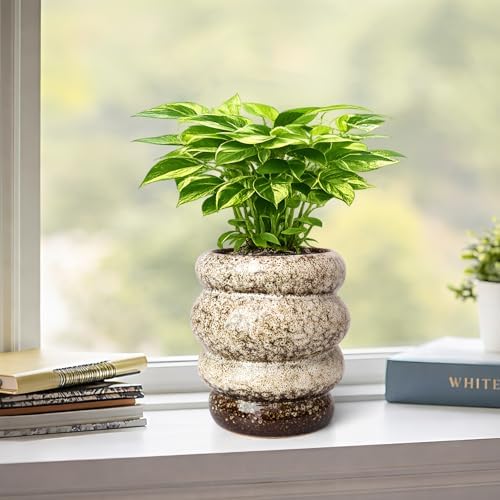 5 inch Ceramic Plant Pot - Flower Pot for Indoor Plants with Drainage Hole - Image 5