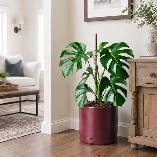 D'vine Dev 10 Inch Ceramic Planter Pot, Cordovan, 94-O-E-4 - Image 5