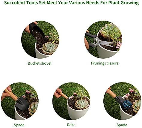5 Pcs Succulent Tools, Mini Garden Tools, Small Indoor Plant Repotting Set - Image 3