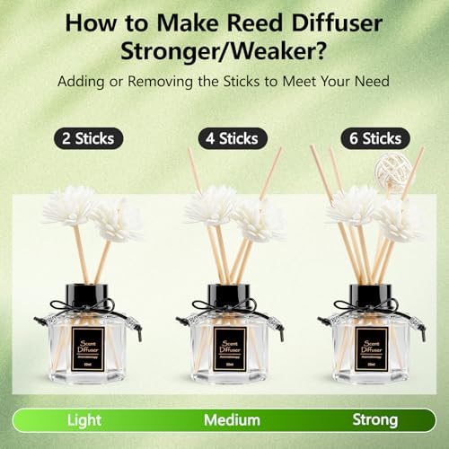 Shangri-La Reed Diffuser 1.7 fl oz | Long-Lasting Natural Home Fragrance | Non-Toxic Essential Oil with 6 Scent Sticks for Bathroom, Bedroom & Living Room | Plant-Based Air Freshener - Image 6