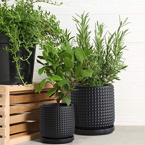 D'vine Dev Beaded Ceramic Planter Pots, 4/6 in, Matte Black, 27-D-U-6 - Image 2