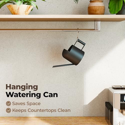 Bamworld Small Watering Can Indoor Outdoor Plant Black Metal Stainless Steel Long Spoutt Flowers Watering Cans for House Garden Plants 10OZ Watering Bottle Cute Decorative for Bonsai - Image 4