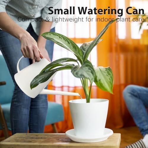 60 oz Watering Can, Watering Can Indoor Plants, Long Spout Small Water can - Image 3