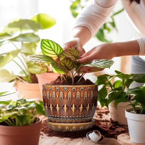 G EPGardening 5.5 Inch Plant Pot - Ceramic Planter for Indoor Outdoor Plants, Boho Round Indoor Flower Pot with Drainage Hole and Saucer, Housewarming Gifts, Garden Home Room Decor, Brown - Image 4
