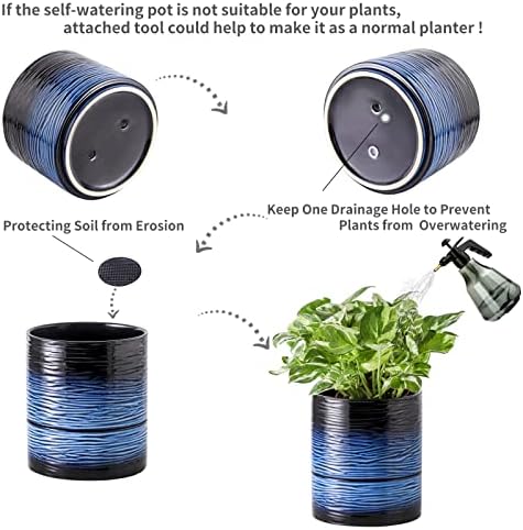 Nihow Ceramic Self Watering Plant Pot for Indoor Plants, 6 Inch,Blue - Image 4