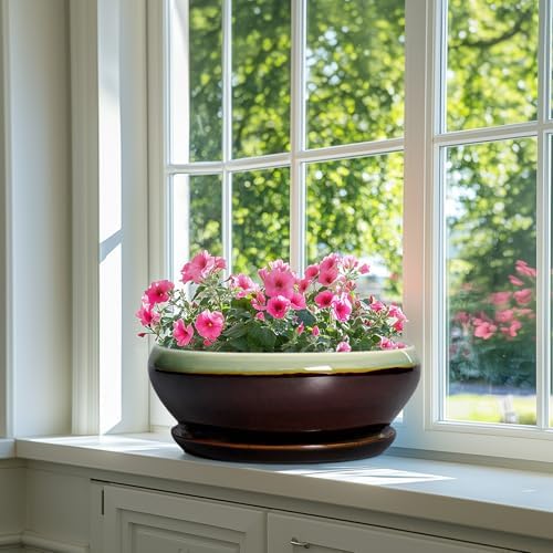 SQOWL Bonsai Pots 12 Inch - Large Ceramic Pots for Succulents with Drainage Hole and Saucer, Shallow Planter for Indoor Plants Outdoor, Round Planter Bowl, Office Decor, Gifts for Women, Green-Brown - Image 6