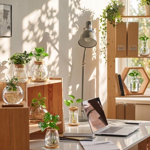 Honeydak 8 Pcs Plants Propagation Stations Desktop Glass Propagation Vases - Image 4