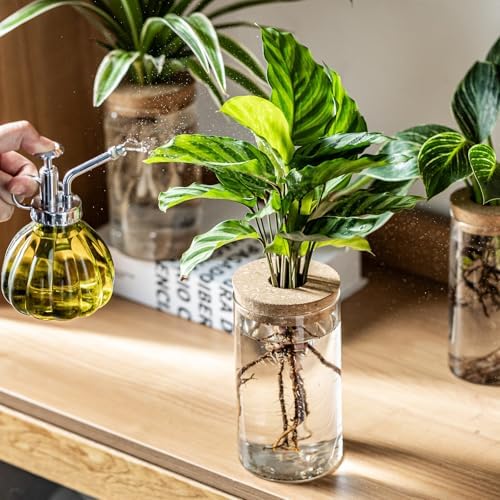 Propagation Vases for Plants, Set of 2(1 Large & 1 Small) Glass Plant Propagation Stations, Plant Propagation Jars for Home Office Windowsill Tabletop Decoration (2) - Image 6