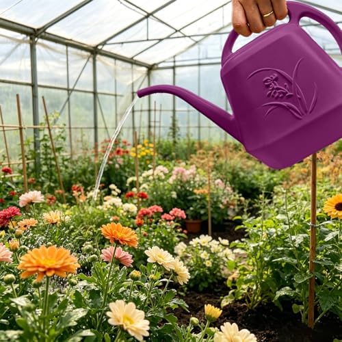 Plastic Watering Can - 1/2 Gallon - Rose Red - Image 7