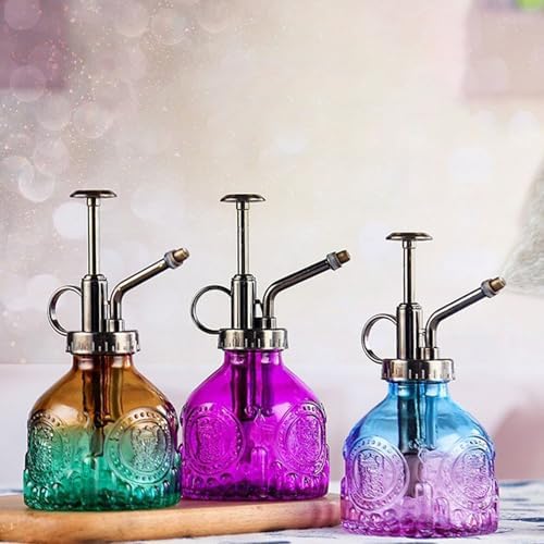Spray Bottle for Plants, Plant Mister Spray Bottle, Glass Plant Mister Spray Bottle, Embossed Vintage Glass Watering Can, Succulent Watering Bottle with Top Pump for Outdoor (Q) - Image 7