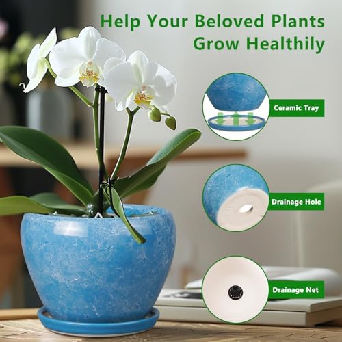 Ceramicfor 6 Inch Plant Pot - Ceramic Planter Pot with Drainage Hole and Saucer, Glaze Succulent Pot Modern Round Flower Pot for Indoor Plants, Blue - Image 4
