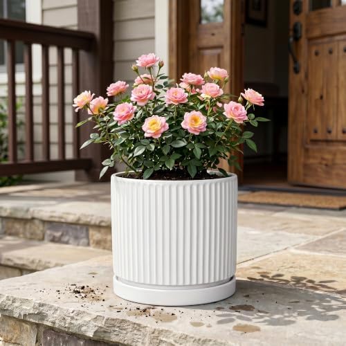 10 Inch Plant Pot, Ceramic Planters, Round Flower Pots, White - Image 7