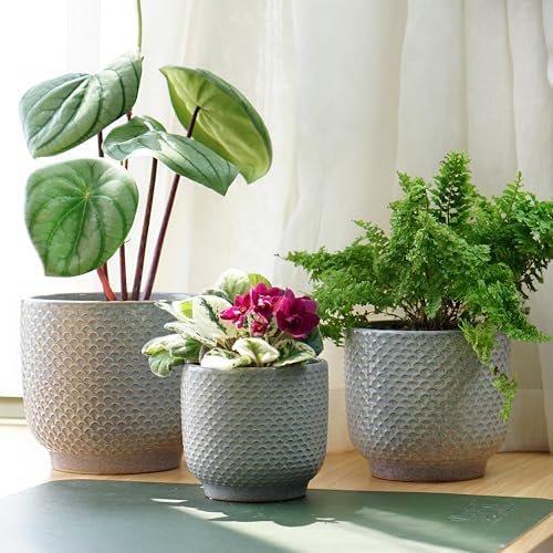 4 + 5 + 6 Inch Ceramic Pots for Indoor Plants, Succulents Plant Pots, Orchid Flower Pot with Drainage Hole, Modern Clay Stoneware Planters, Set of 3 (Reactive Glaze Grey Blue, 4 + 5 + 6 Inch） - Image 6