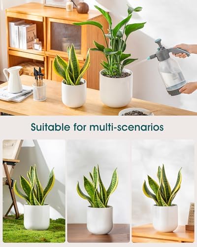 vancasso 6 Inch Ceramic Plant Pots, Planters with Drainage Hole, Flower Pots Planters Pots for Indoor Plants, Modern Indoor Decorative Garden Pot, Home Decor, White - Image 5