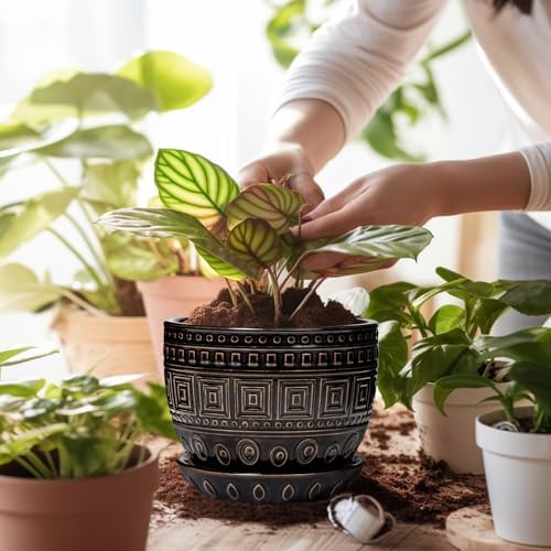 G EPGardening Ceramic Plant Pot, 5.5 Inch Ceramic Planter, Black - Image 4