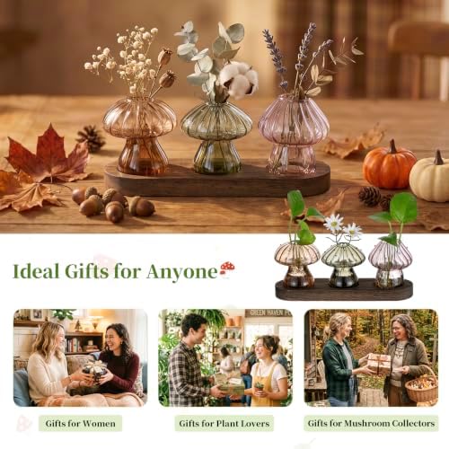 Glasseam Mushroom Plant Propagation Station: 3 Pcs Glass Terrarium Jar - Image 4