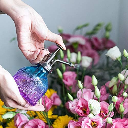 Glass Plant Mister Spray Bottle Indoor Watering Can 6.4inch Tall with Bronze Plastic Top Pump Vintage Small Plant for Outdoor Garden Succulent Flower - Image 6