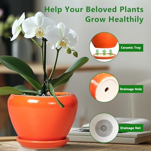Ceramicfor Ceramic Plant Pot 6 Inch - Ceramic Planter for Indoor Plants Outdoor, Glaze Round Modern Flower Pot with Drainage Hole and Saucer, Gift for Plant Lover, Home Garden Room Decor, Orange - Image 5