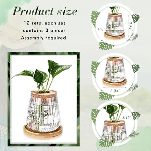 Baderke 12 Pack Propagation Vases for Plants, Vertical Grain Style - Image 2