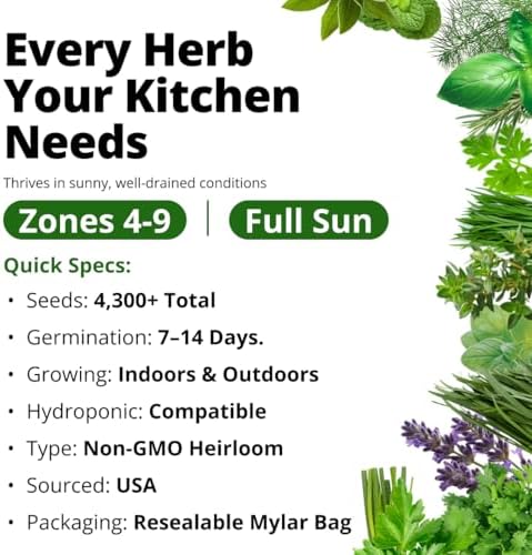 15 Culinary Herb Seeds - Heirloom & Non GMO - High Germination Rate - Seeds for Planting Indoor Hydroponic or Outdoor Herbs Garden | Gardening Gift Men Women Gardeners - Basil, Cilantro, Mint - Image 3