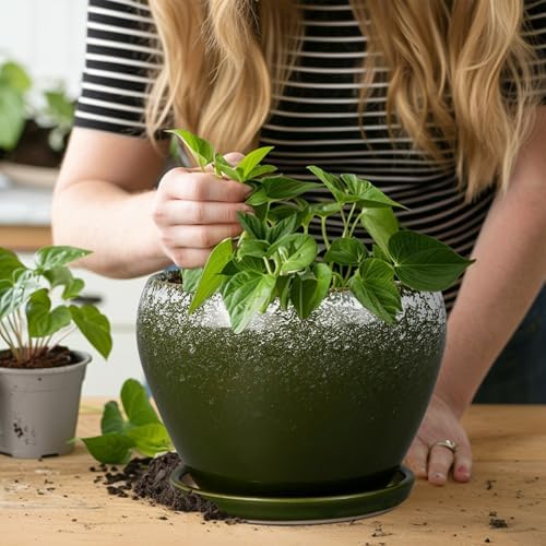 Ceramicfor 8 Inch Plant Pot - Ceramic Planter with Drainage, Dark Green - Image 7