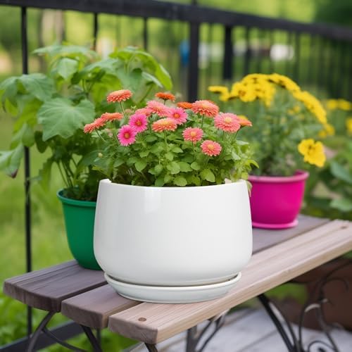 G EPGardening Ceramic Planter 9 Inch - Plant Pots with Drainage and Ceramic Saucer, Flower Pots for Indoor Plants, Modern Outdoor Planter, Living Room Decor, Gifts for Plant Lovers, White - Image 2