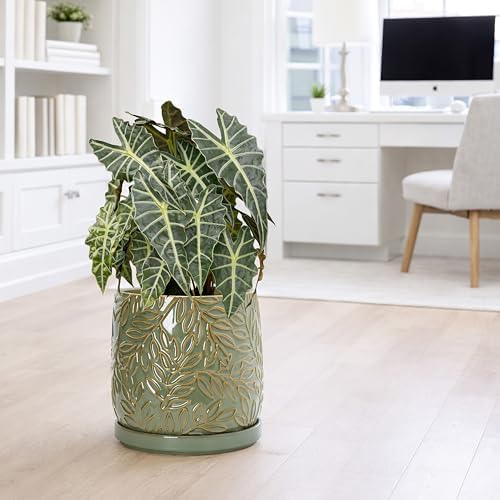 D'vine Dev Embossed Leaves Ceramic Planter, 10 in, Olive, 27-A-P-0 - Image 2