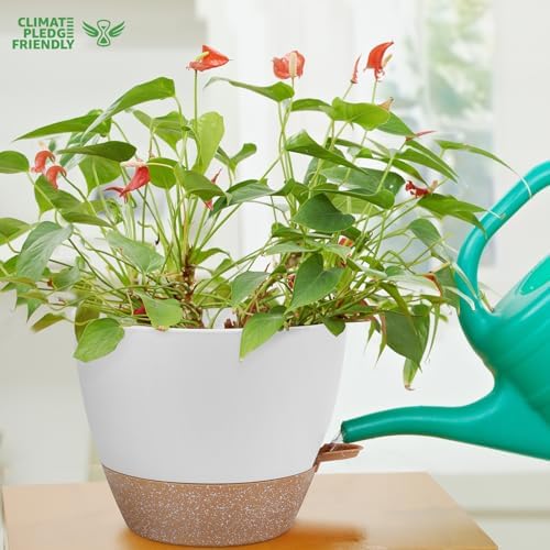 YNNICO 12 inch Large Self Watering Plant Pots for Indoor Outdoor Plants - Image 6