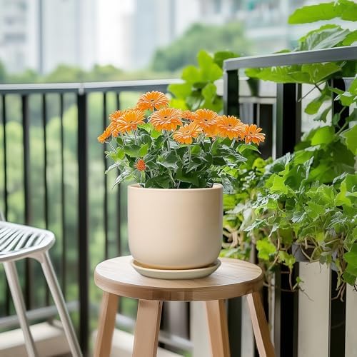 Ceramic Plant Pot - 7 Inch Mid Century Round Ceramic Planter for Indoor Plants with Drainage Hole and Saucer, Modern Home Decor, Yellow - Image 5