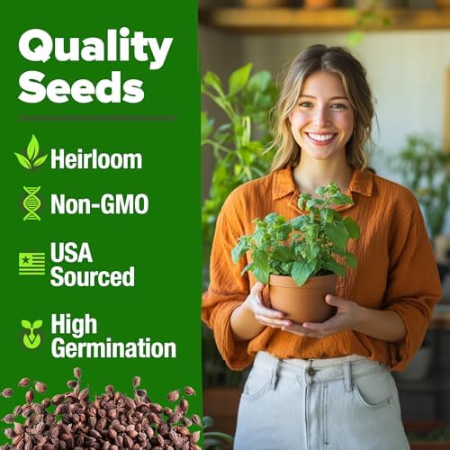 HOME GROWN Catnip Seeds, 2,116 Seeds, Nepeta cataria - Image 2
