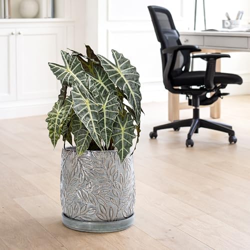 D'vine Dev Embossed Leaves Ceramic Planter, 10 in, Graphite Blue, 27-A-P-9 - Image 7