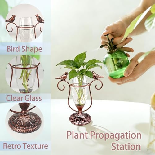 Desktop Plant Propagation Station, Plant Terrarium with Metal Stand - Image 4