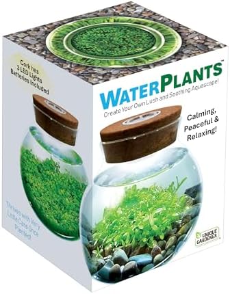 WaterPlants- Create Your Own Lush and Soothing Aquascape Terrarium Starter Kit, Indoor Plant Glass Globe Terrariums with Powerful 3 LED Light and Complete Supplies, Just Add Water! - Image 5