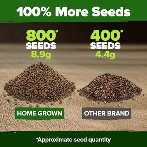 HOME GROWN Cherry Belle Radish Seeds, 800+ Seeds, Raphanus sativus - Image 3