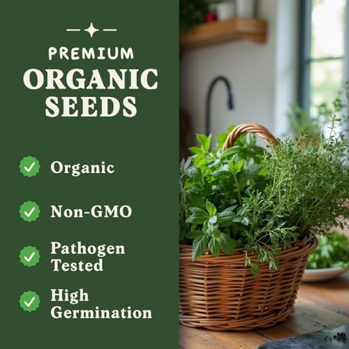Seedboy Organic Non-GMO Herb Seeds for Planting (10 Herb Variety Pack) - Image 5