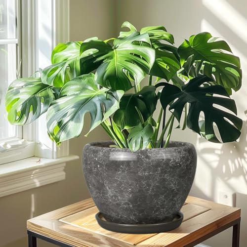 Ceramicfor Ceramic Planters for Indoor Plants - 10 Inch Plant Pot with Drainage Hole and Saucer, Large Flower Pot for Home Decor, Gray - Image 5