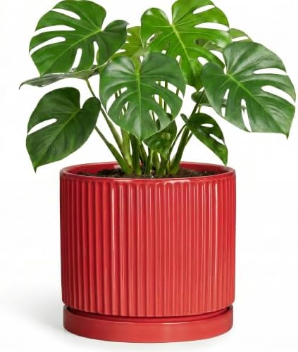 Ceramic Pots for Plants, 8 Inch Plant Pots with Saucer, Red by Unknown
