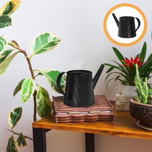 Toddmomy Succulent Watering can for Indoor Plants Small Metal Water can with Comfortable Handle Mini Garden Jug for Desk Table Bonsai 5.90 X 2.91 X 2.75 in - Image 5