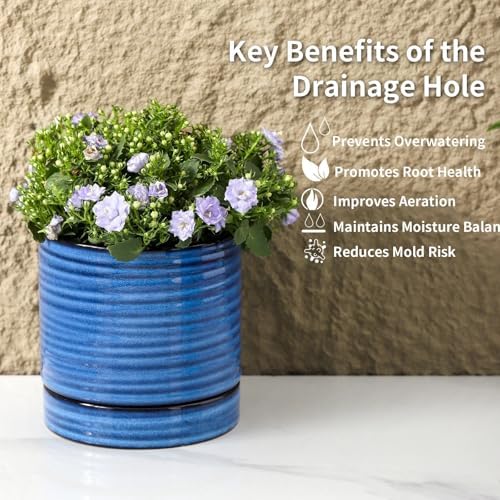 HASENSE Ceramic Plant Pots with Saucers Set of 4, 4.6 Inch Planters for Indoor Plants with Drainage Holes,Blue Flower Pots for Snake Plants & Cactus, Modern Farmhouse Windowsill & Tabletop Decor - Image 5
