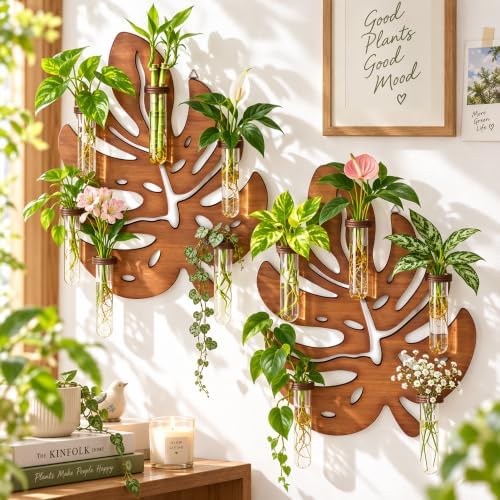 2 Pack Monstera Hanging Wall Planter, Plant Propagation Station by THYGIFTREE