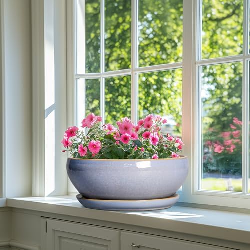 SQOWL 12 Inch Bonsai Pots - Shallow Ceramic Planter for Indoor Plants Outdoor, Large Succulent Pots with Drainage Hole and Saucer, Round Planter Bowl, Porch Decor, Gifts for Plant Lover, Blue - Image 6