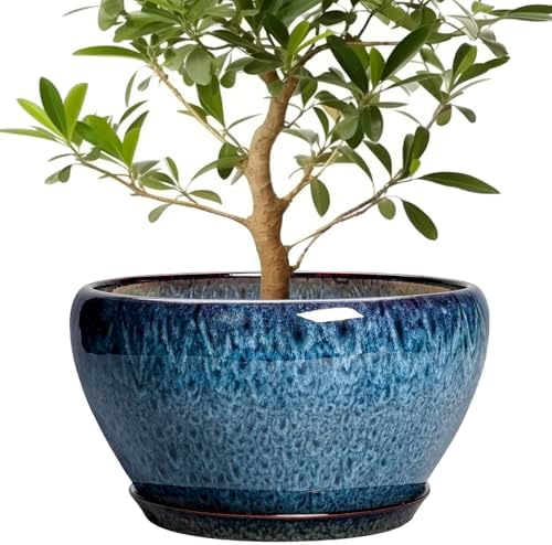 Ceramicfor Ceramic Plant Pots 13 Inch - Indoor Planter with Drainage Hole and Saucer, Decorative Large Planter for Indoor Outdoor Plants, Ceramic Flower Pots, Gifts for Plant Lovers, House Decor, Blue by Ceramicfor